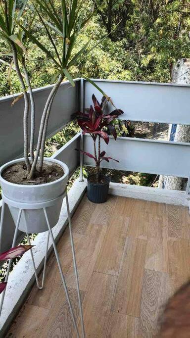 Cozy Apartment In Condesa'S Heart ! Μεξικό Εξωτερικό φωτογραφία