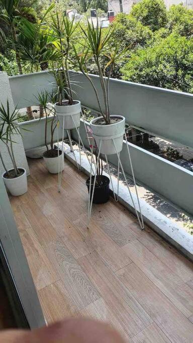 Cozy Apartment In Condesa'S Heart ! Μεξικό Εξωτερικό φωτογραφία