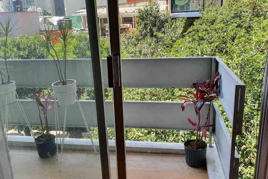 Cozy Apartment In Condesa'S Heart ! Μεξικό Εξωτερικό φωτογραφία